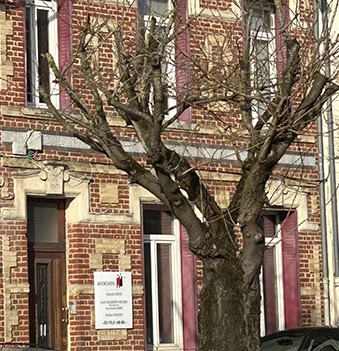 Le Cabinet Maître Aude GILBERT-CARLIER